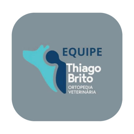 Thiago Brito Ortopedia